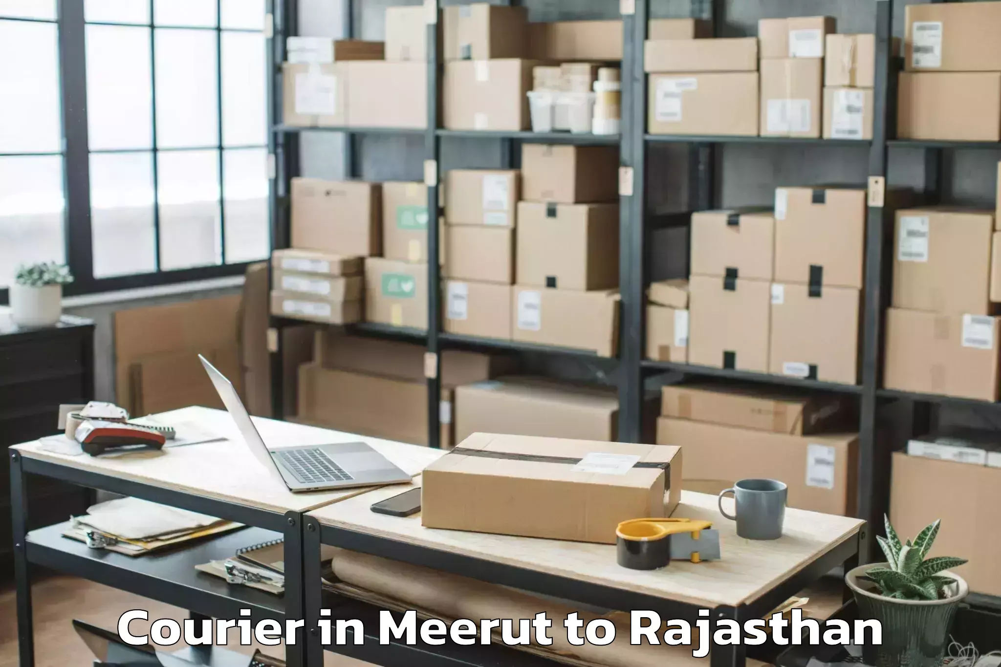 Hassle-Free Meerut to Indergarh Courier